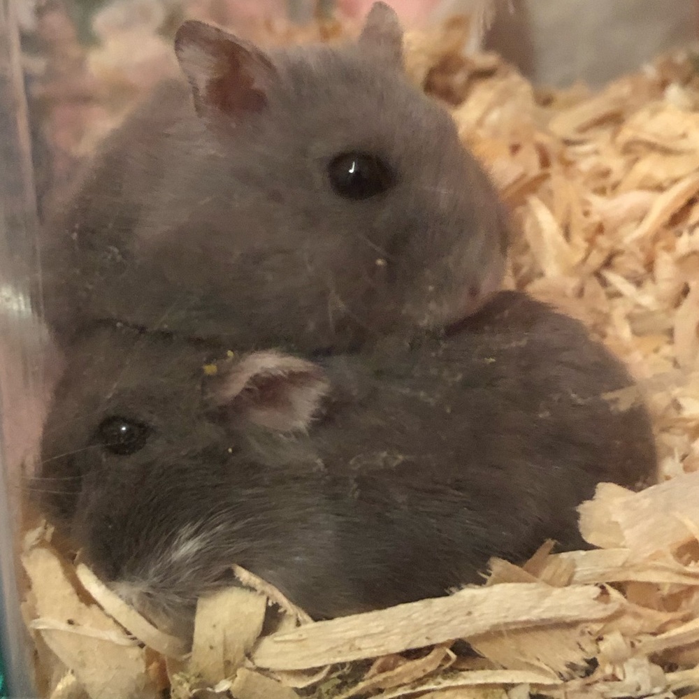 Hey!!! - Picture 2 of 2